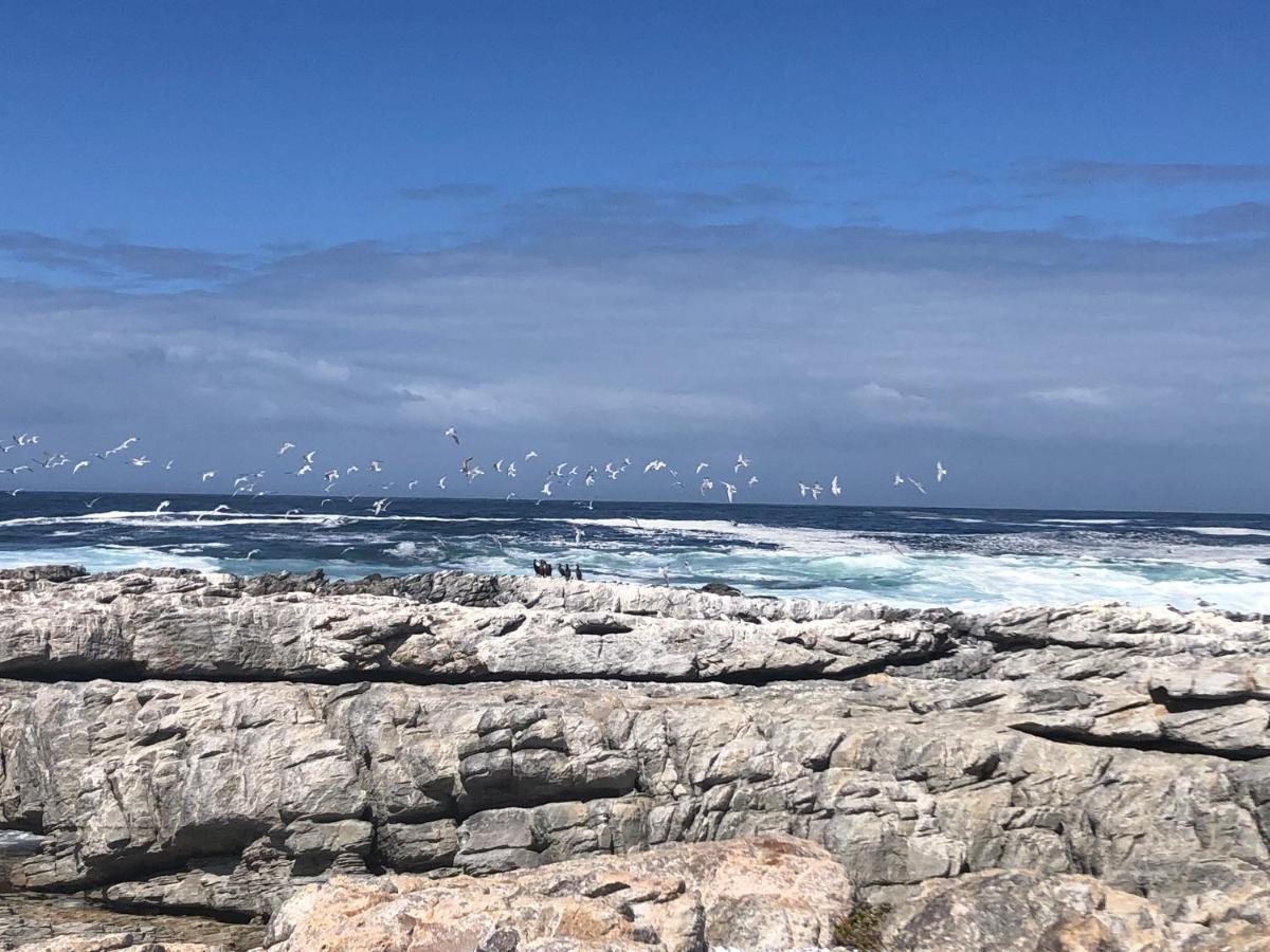 43 Whale Rock Estate Lägenhet Hermanus Exteriör bild