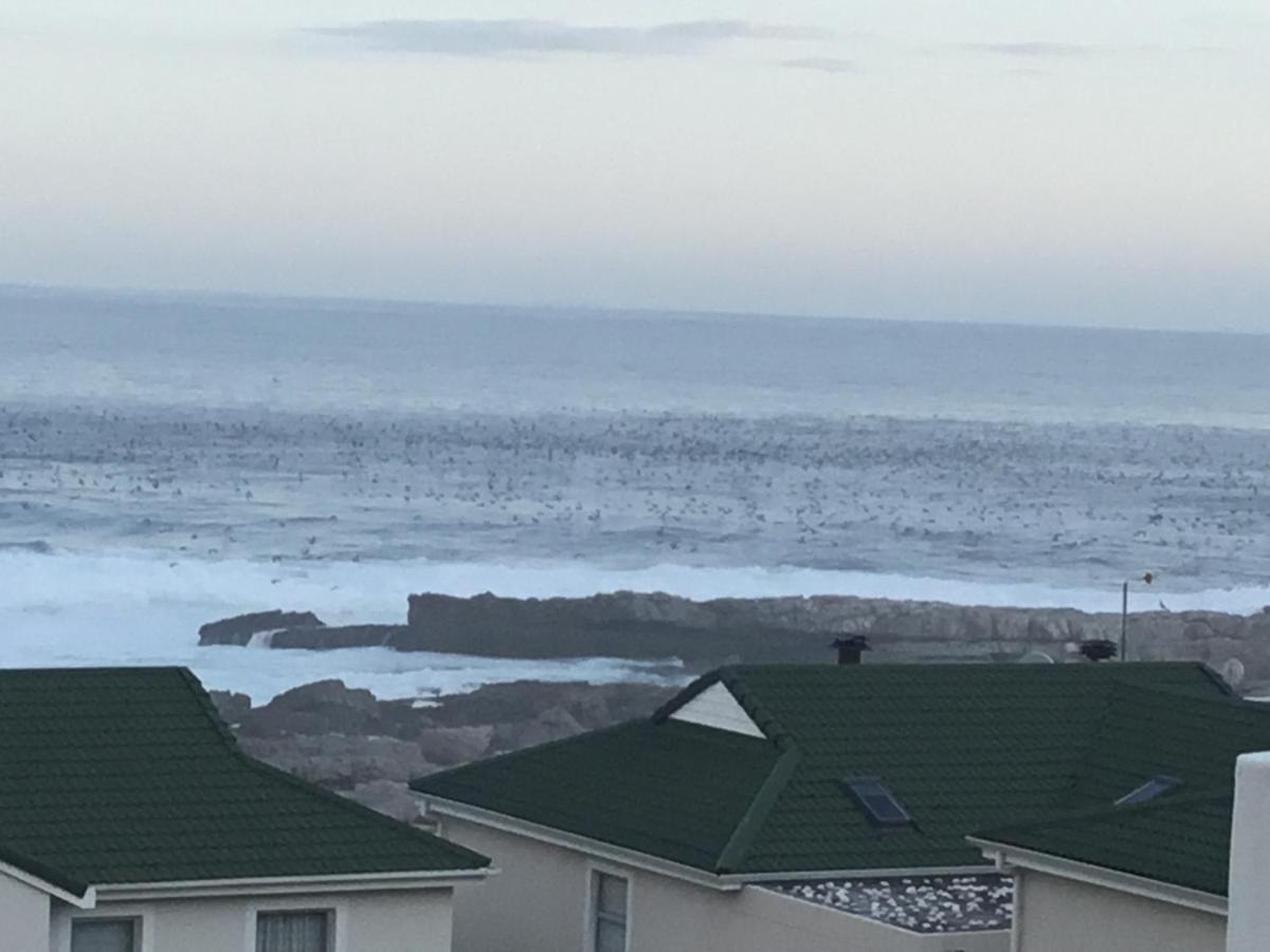 43 Whale Rock Estate Lägenhet Hermanus Exteriör bild